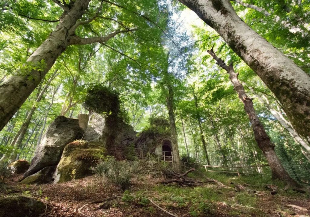 Immergiti nella natura