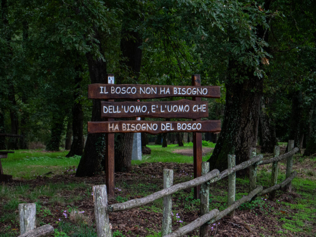 Anello nel Bosco del Monte Fogliano – da Cura di Vetralla